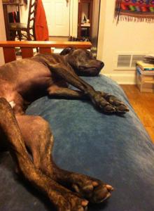 10374982_10152334416272358_3485030814427924283_n